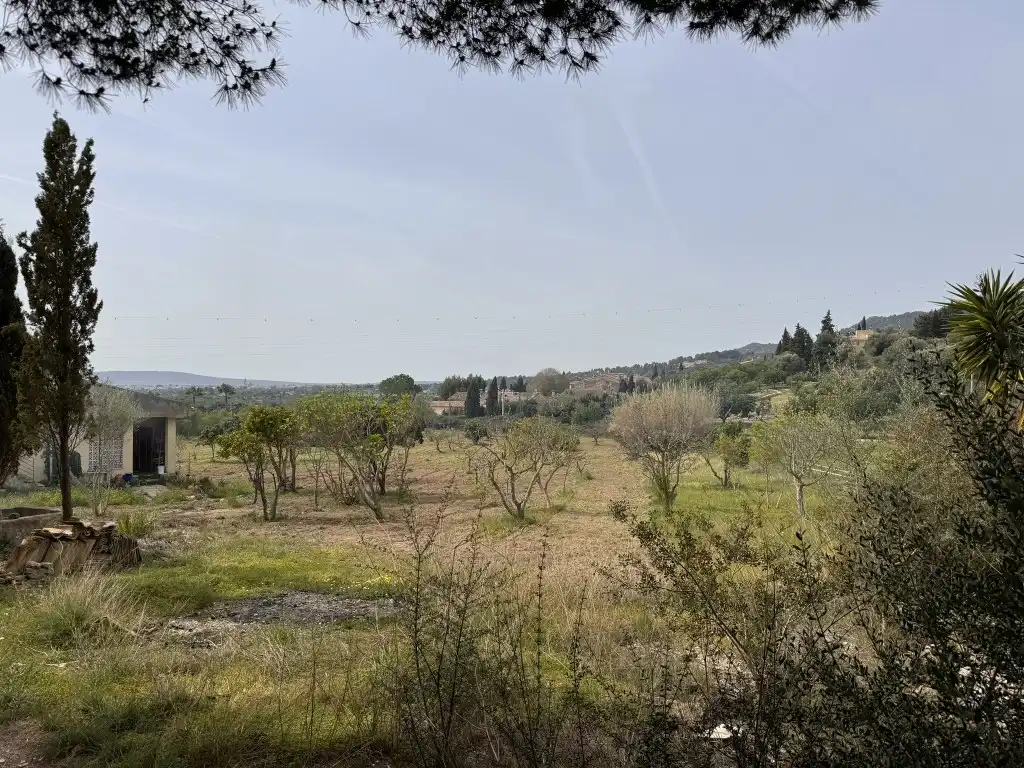 Finca rústica en venda en Lloseta amb Jardí privat i Terrassa