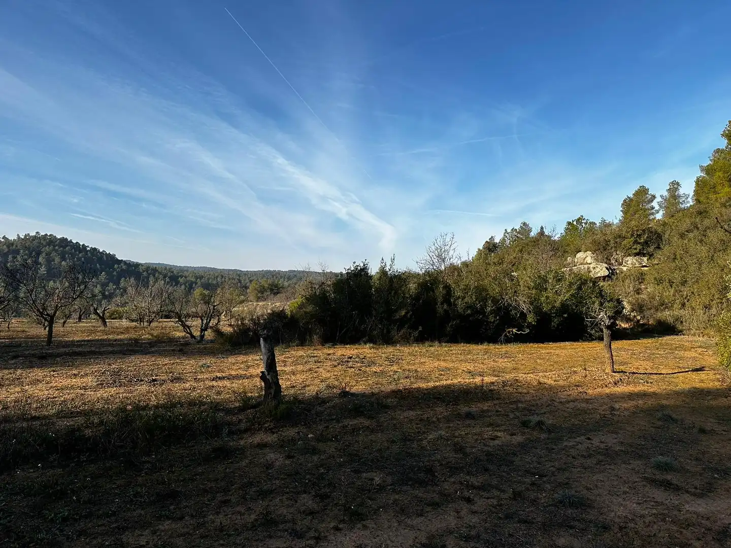Rural land for sale in Cervià de Les Garrigues