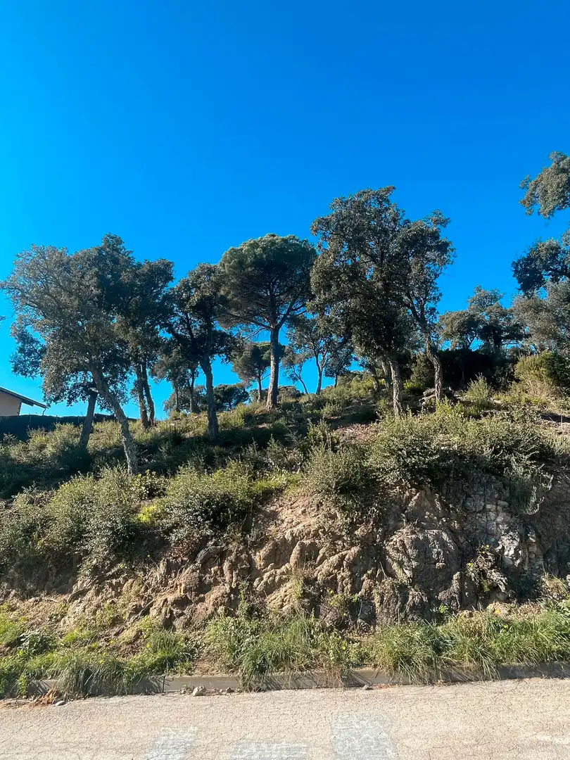 Wohnbaugrundstück zum Verkauf in Carrer de la Gauxa 86, imagen 3