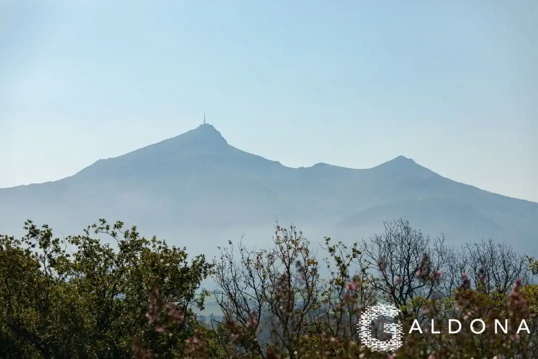 Vista exterior de Casa o chalet en venta en Urrugne con Calefacción, Jardín privado y Terraza