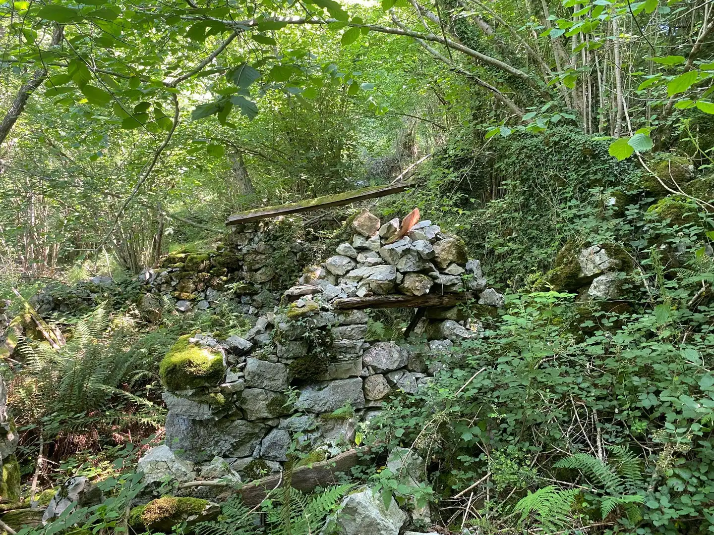 Terreno rustico in vendita a SEGÜENCO, imagen 9