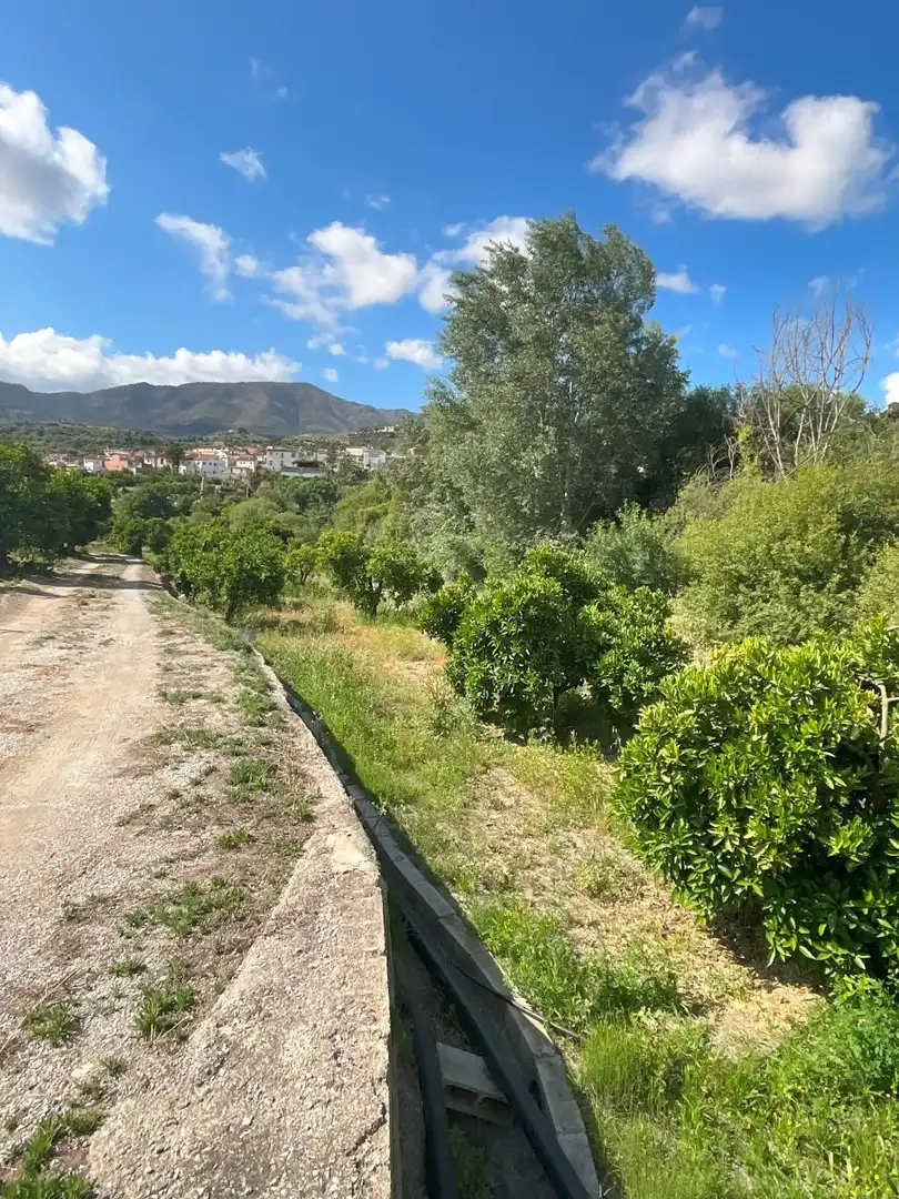 Terreni e lotti in vendita a Andalucia, imagen 13
