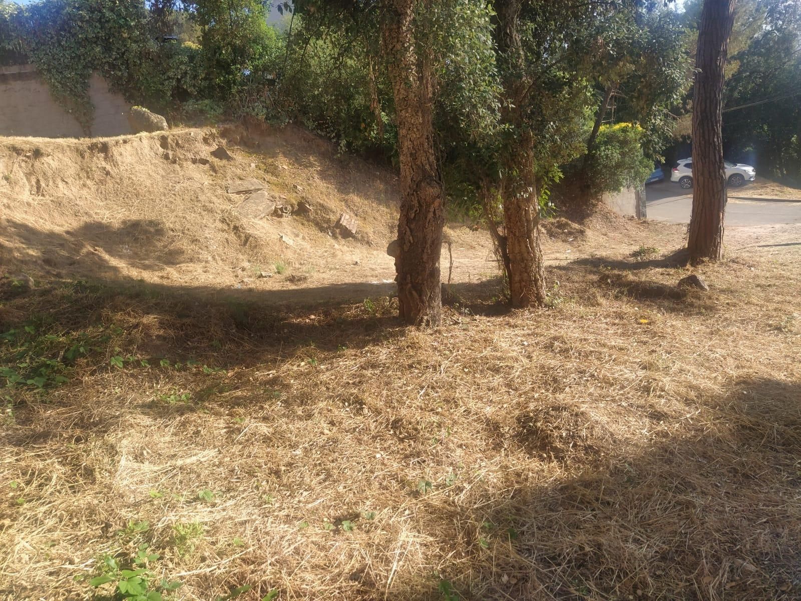 Residential for sale in Tordera