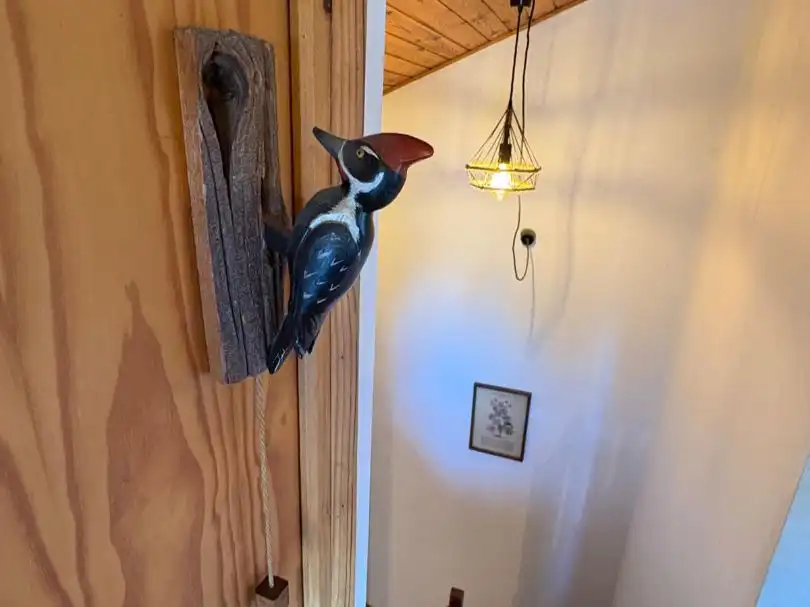 Appartement compact avec jardin à louer à Carrer de Angostina 14, imagen 14