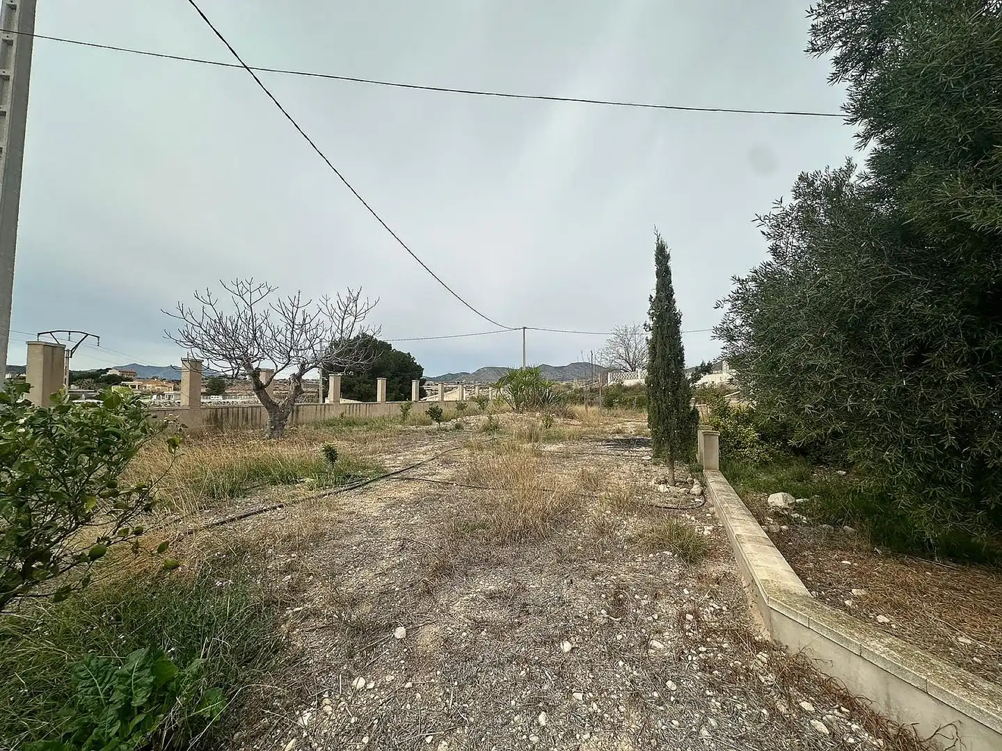 Maison rustique à vendre à Novelda, imagen 21