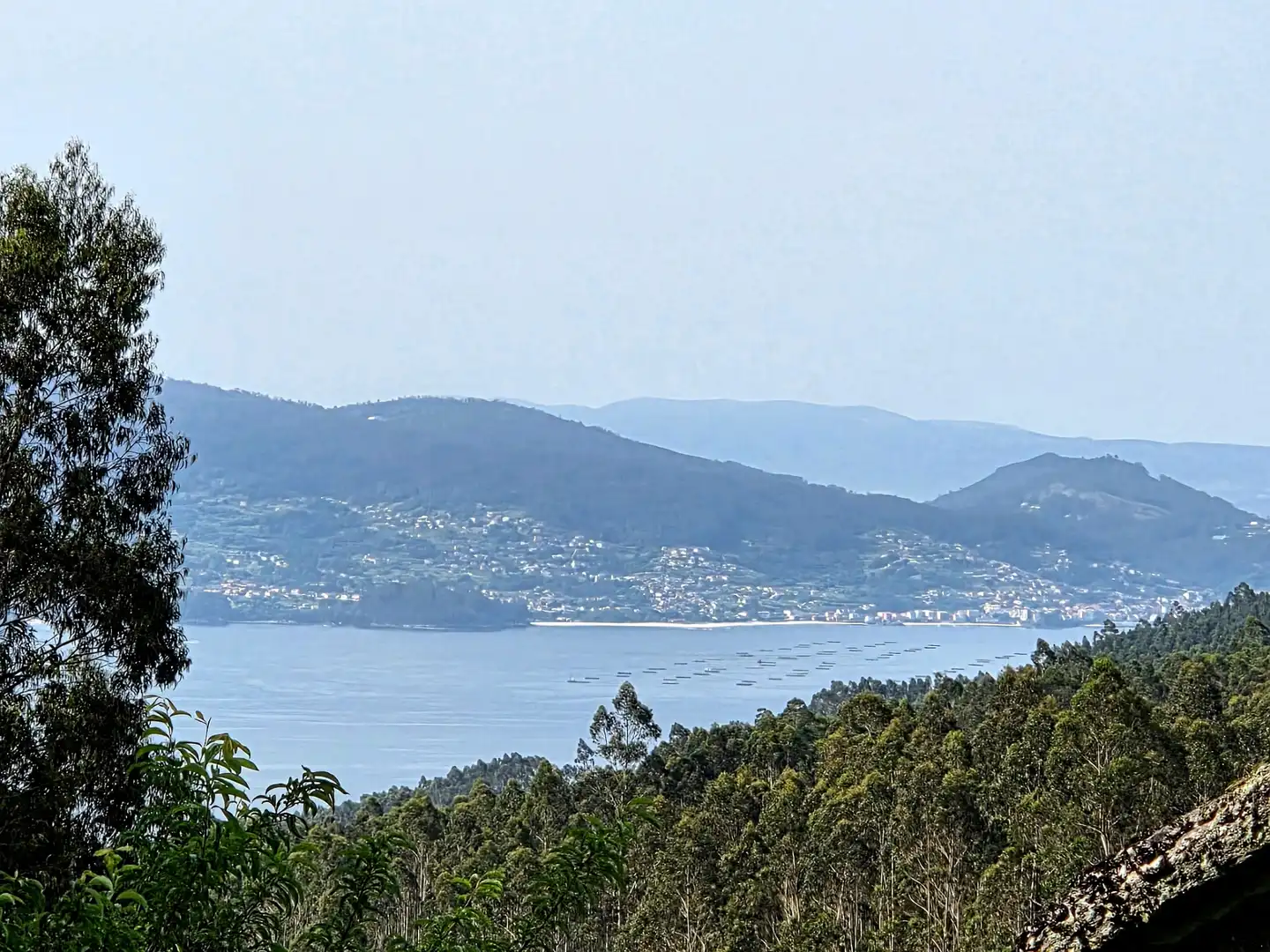 Vista exterior de Finca rústica en venta en Meis con Jardín privado y Terraza
