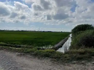 Terreno rustico in vendita a Catarroja, imagen 3