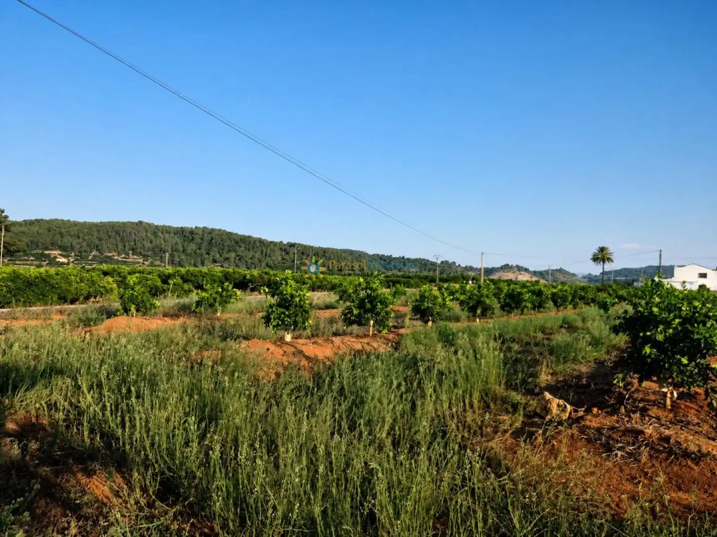 Finca rústica en venta en Sellent con Jardín privado y Terraza