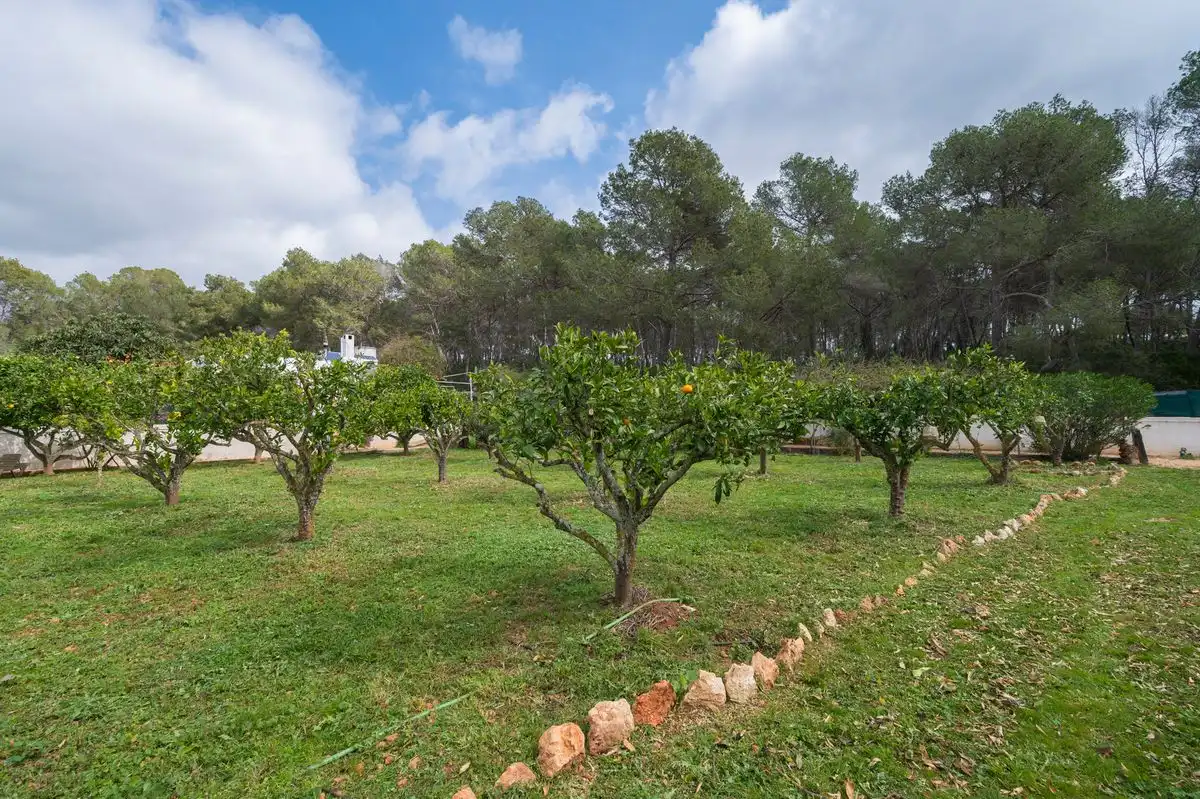 Maison avec jardin à vendre à Diseminado P 26 Sta Gertrudis, imagen 48