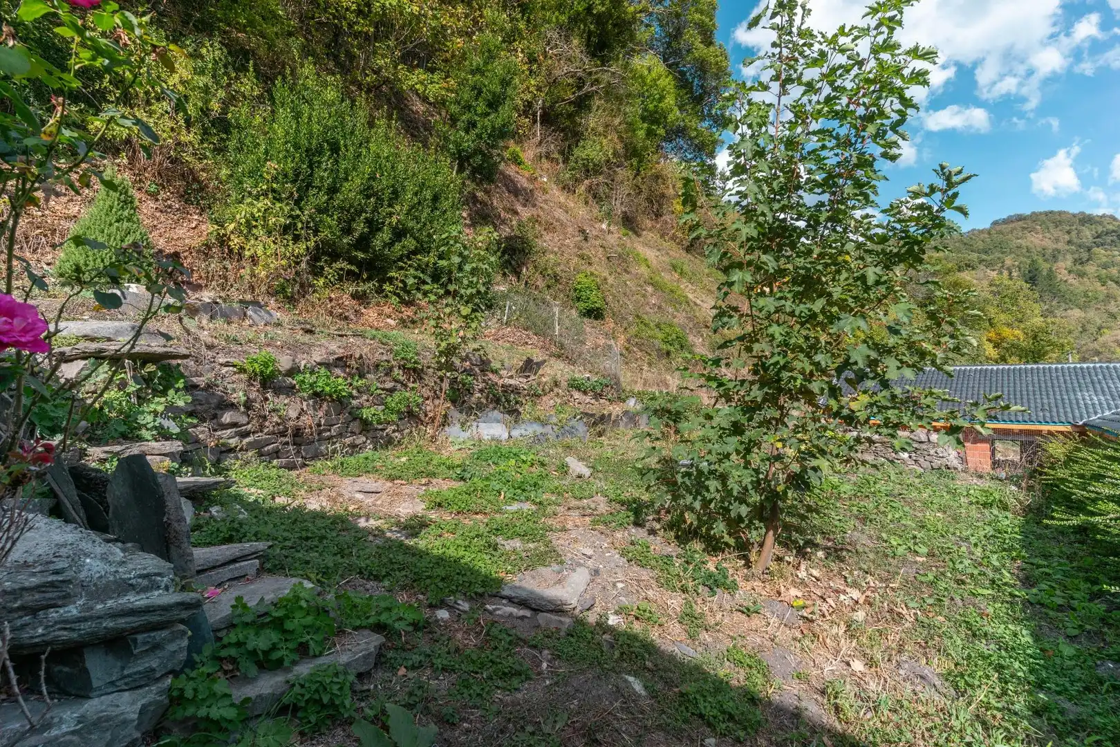 Casa o xalet en venda en Cangas del Narcea amb Calefacció, Jardí privat i Terrassa