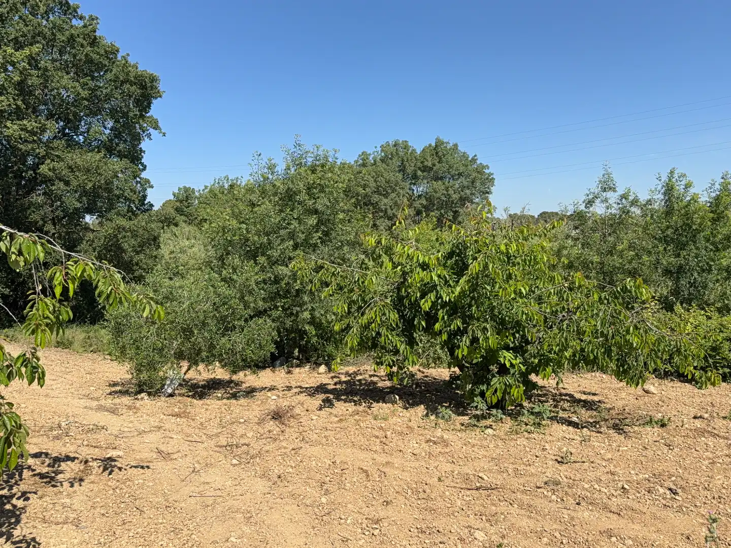 Rustikales Grundstück zum Verkauf in Camí del Cementiri 97, imagen 12
