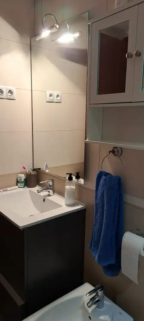 Bany de Àtic en venda en Deltebre amb Aire condicionat, Terrassa i Moblat