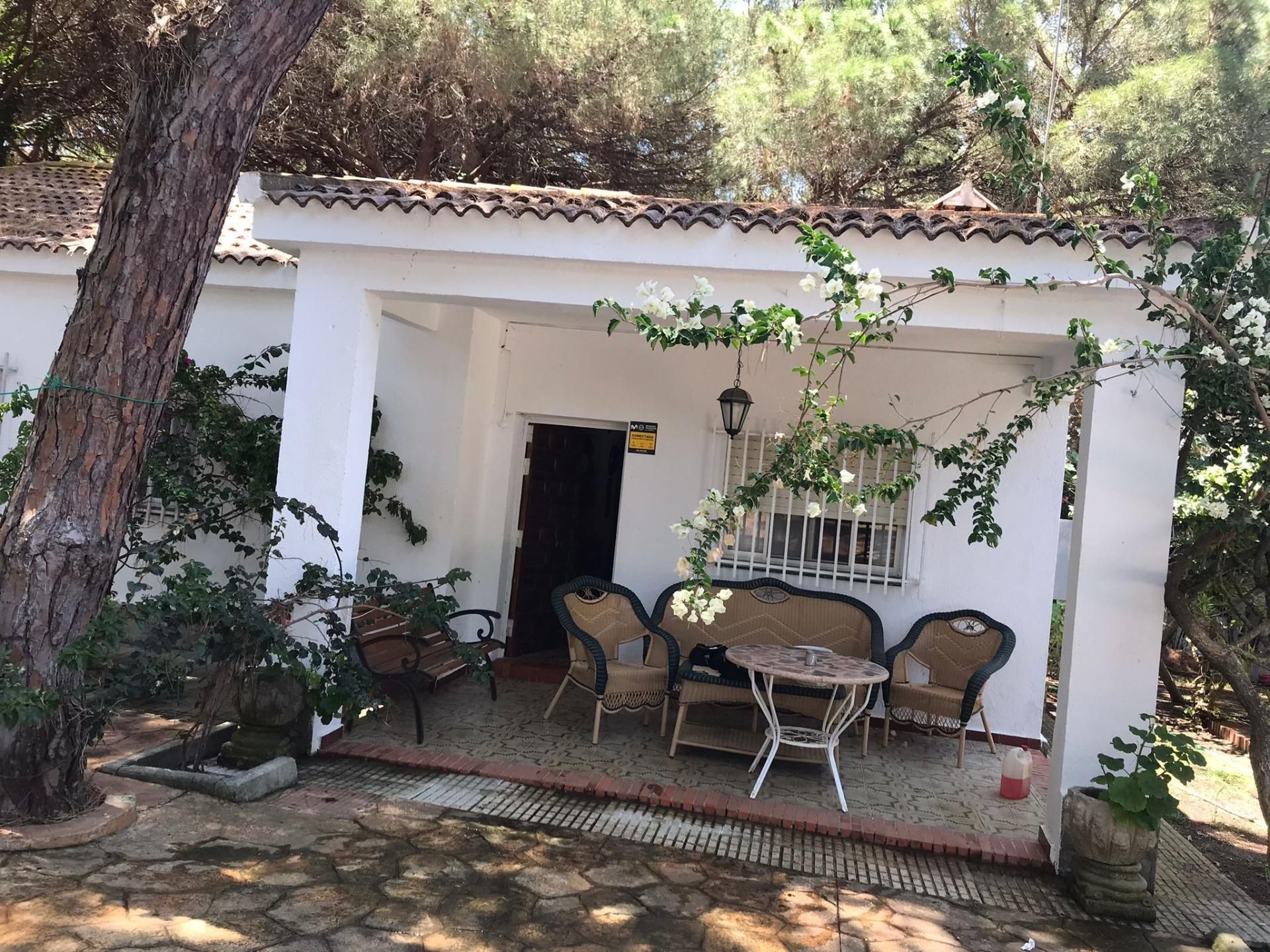 Jardí de Casa o xalet en venda en Chiclana de la Frontera amb Terrassa, Traster i Piscina