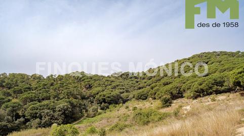 Photo 5 of House or chalet for sale in Teià, Barcelona