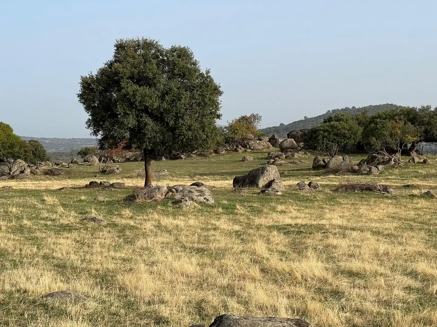 Terreni e lotti in vendita a El Tiemblo, imagen 18