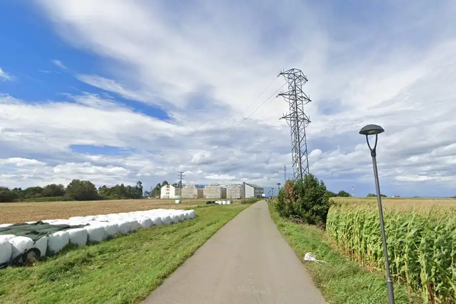 Grundstücke und Bauplätze zum Verkauf in 17 Parcela 450 LOS PULPINOS, imagen 10