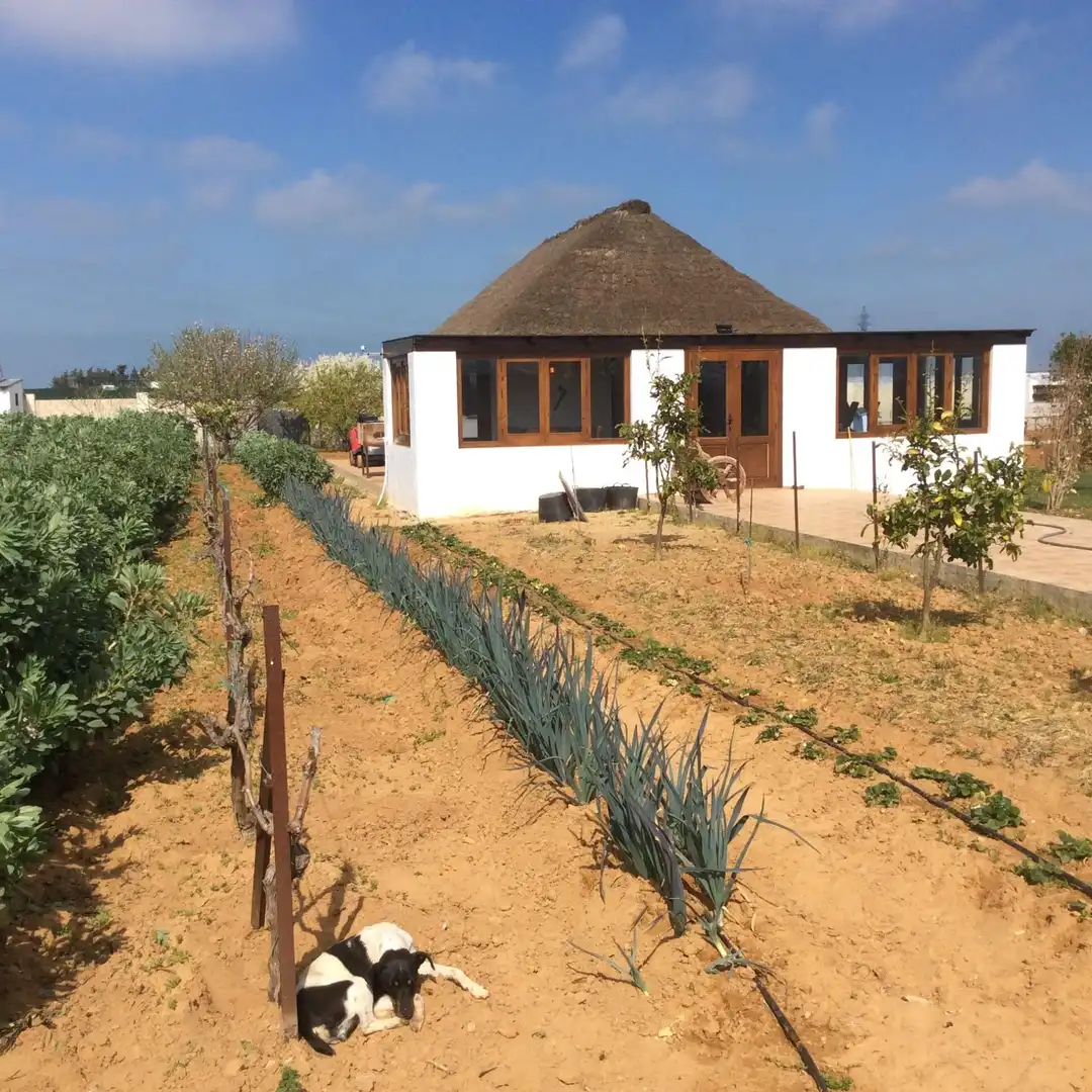Jardí de Terreny en venda en Chipiona Norte