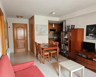 Sala d'estar de Apartament en venda en El Pont de Suert amb Calefacció