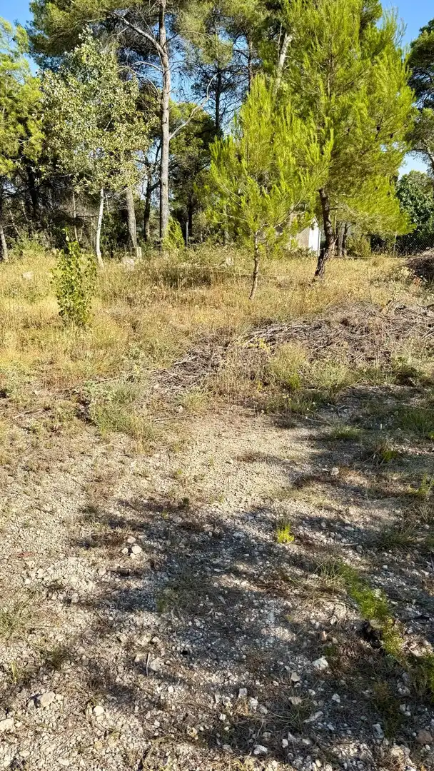 Residential land for sale in Avenida l'Onze de Setembre 22, imagen 5