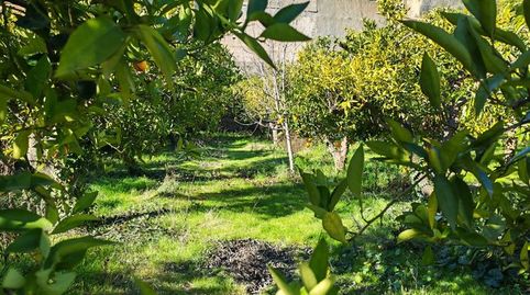 Foto 5 de Residencial en venda a Calle Rodriguez de la Borbolla , Albuñuelas, Granada
