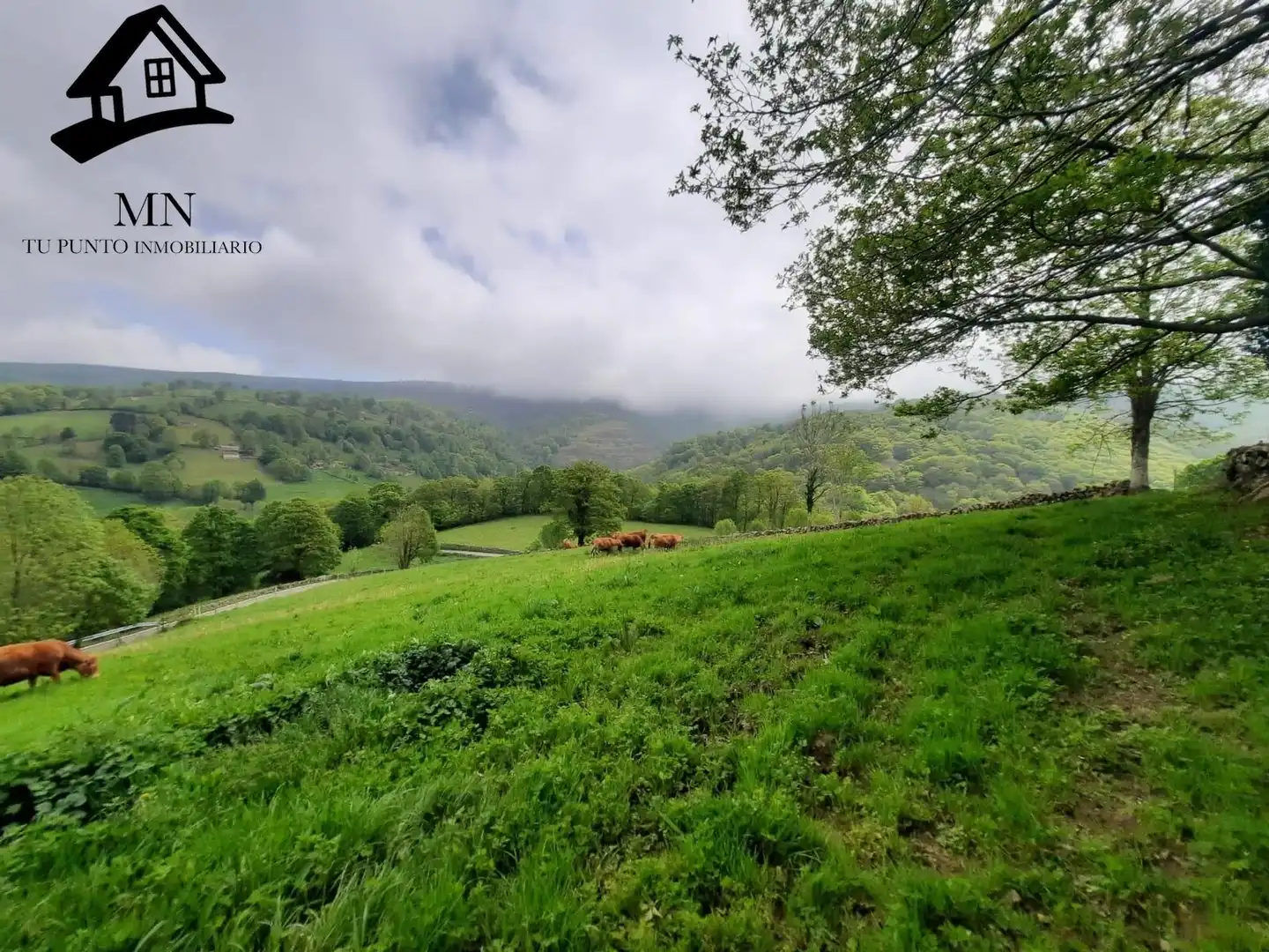 Maison rustique à vendre à Luena, imagen 37