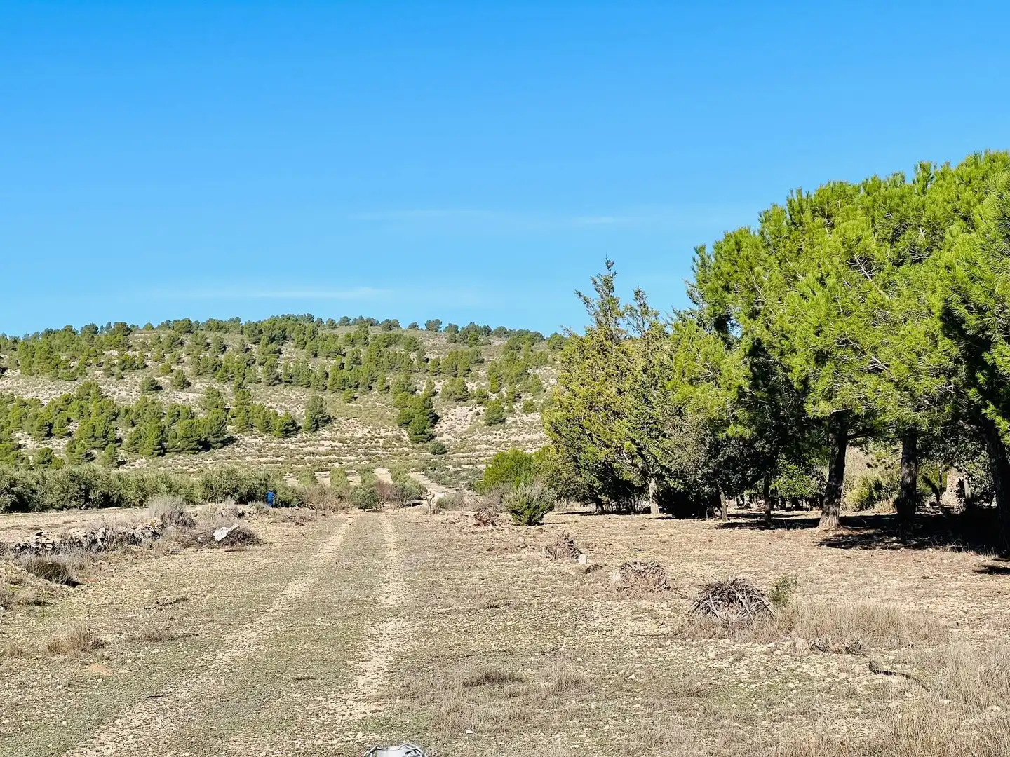 Terreny residencial en venda a Cañada, imagen 22