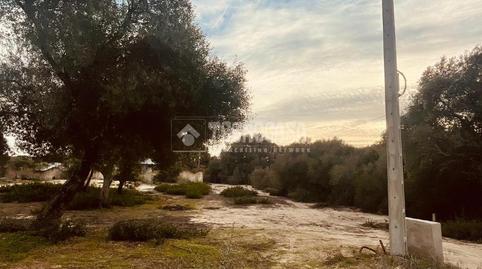 Photo 4 of Industrial land for sale in Barbate ciudad, Cádiz