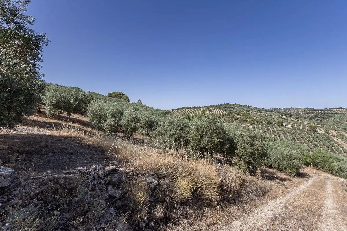 Terreno rustico in vendita a Montefrío, imagen 6