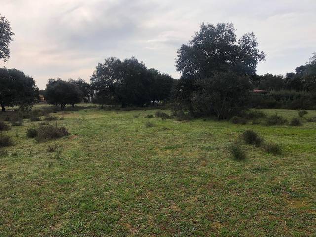 Terreno en Venta en Pedanías de Badajoz