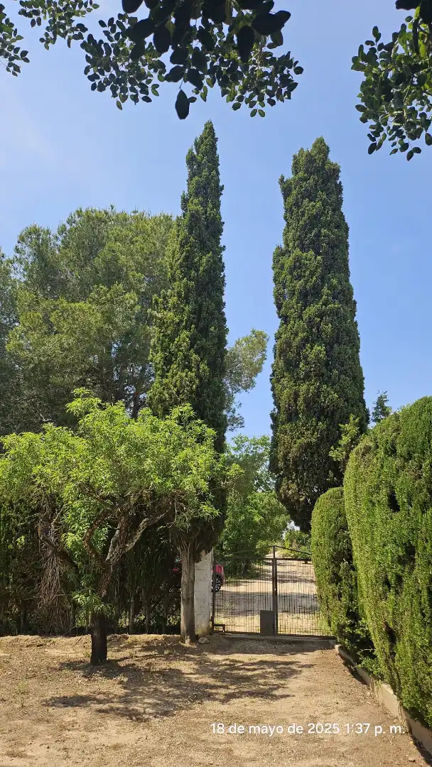 Garten von Country house zum Verkauf in Valls mit Alarm