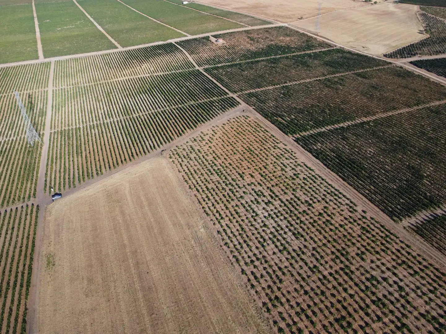 Terreno rustico in vendita a Rueda, imagen 14