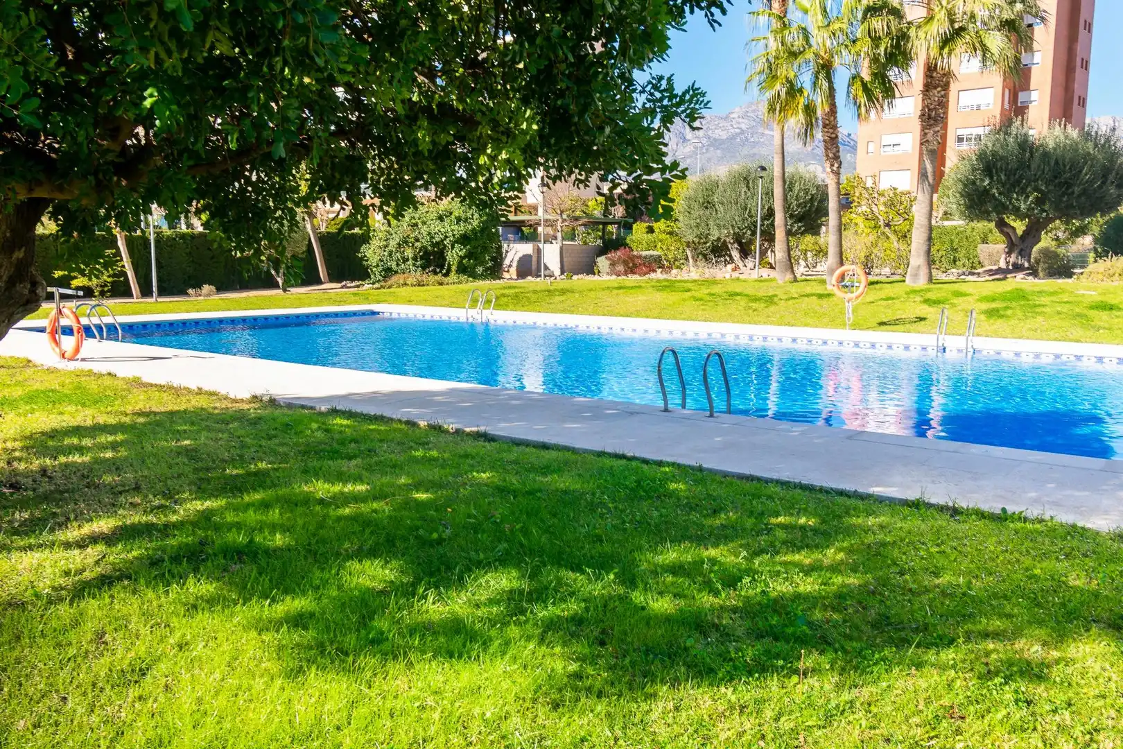 Swimming pool of Apartments for rent in Benidorm  with Air Conditioner, Private garden and Terrace