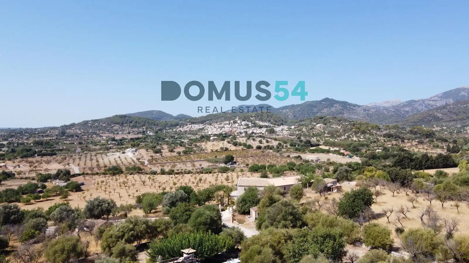 Land for sale in Selva