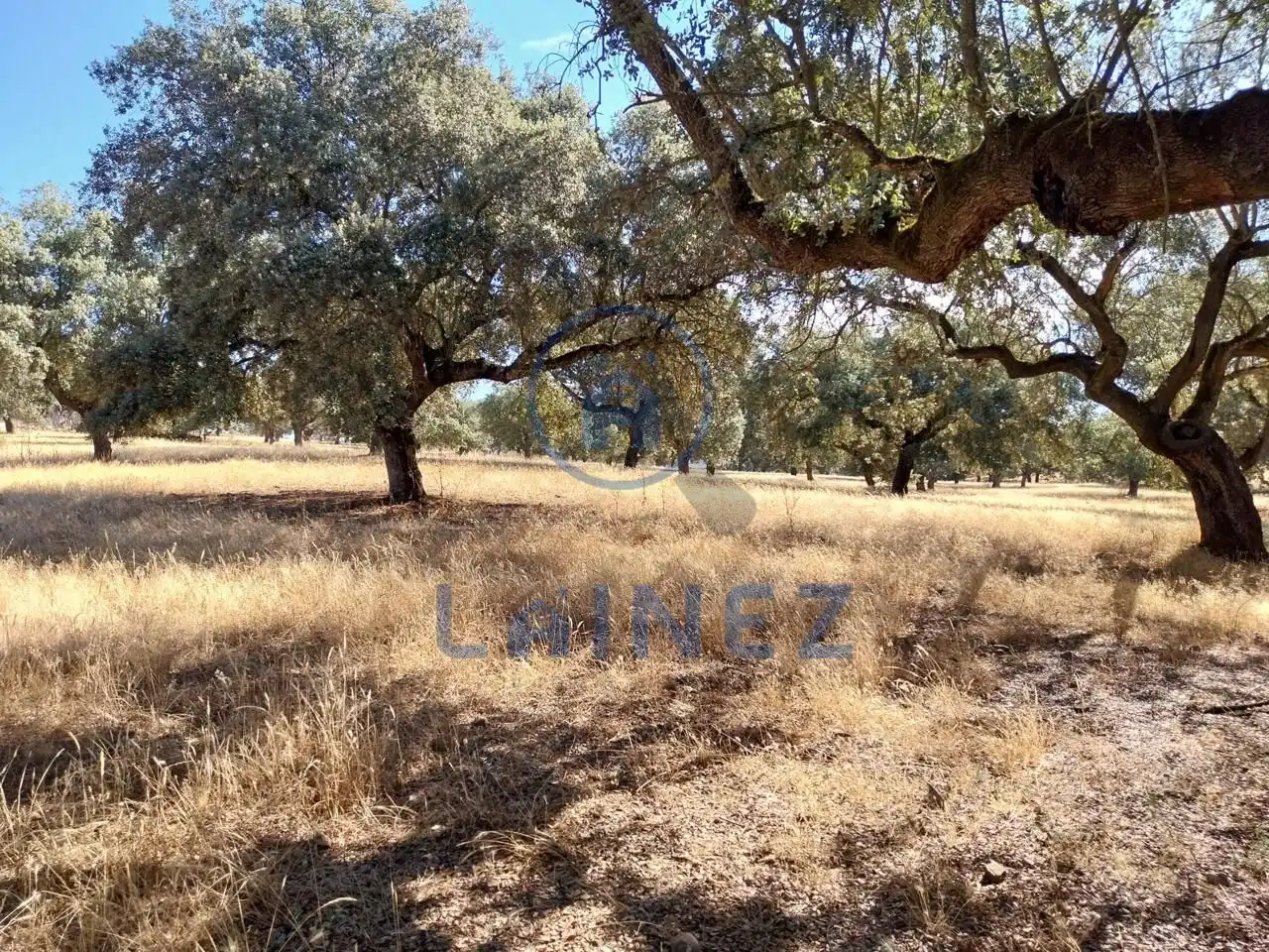 Lands and plots for sale in Fuente Obejuna, imagen 13