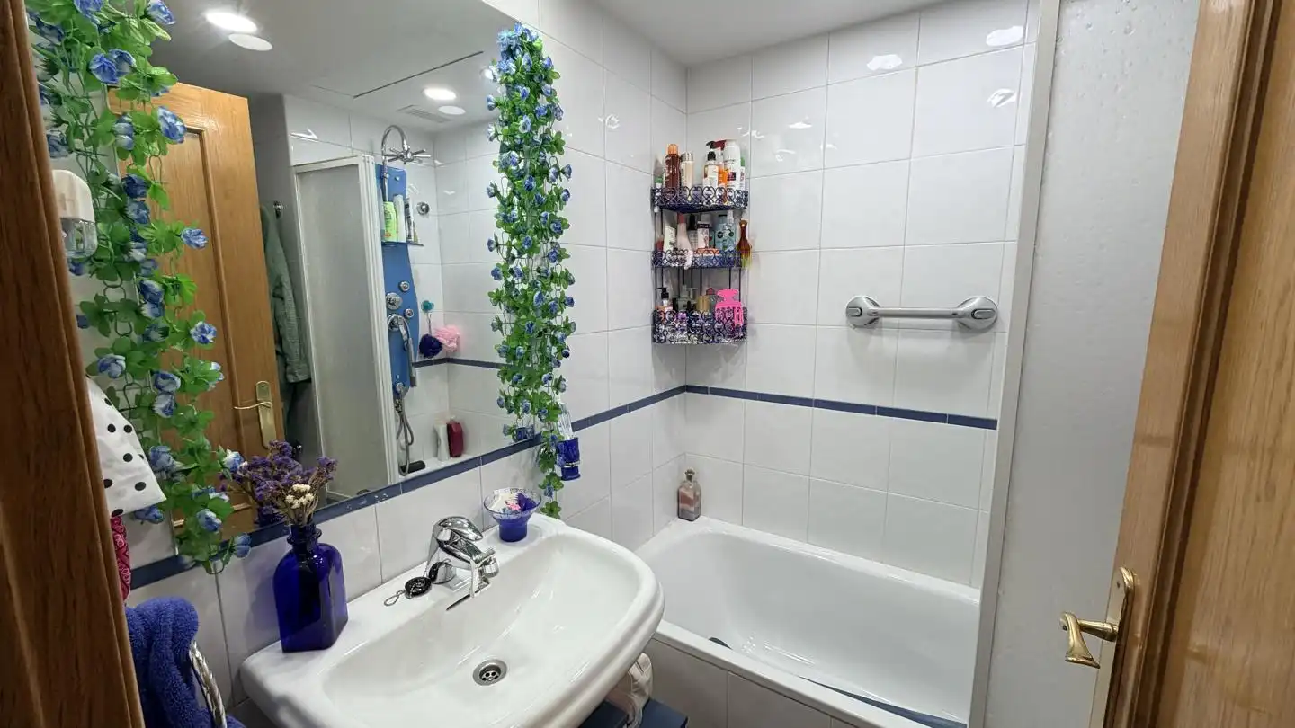Baño de Dúplex en venta en Madrid con Aire acondicionado, Calefacción y Parquet