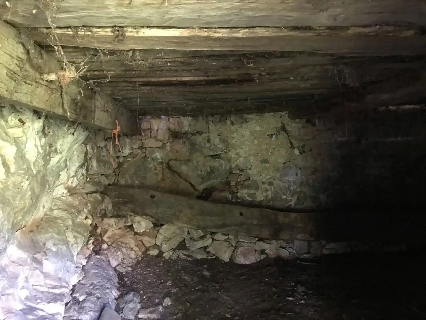 Terreno rustico in vendita a Cangas de Onís, imagen 6