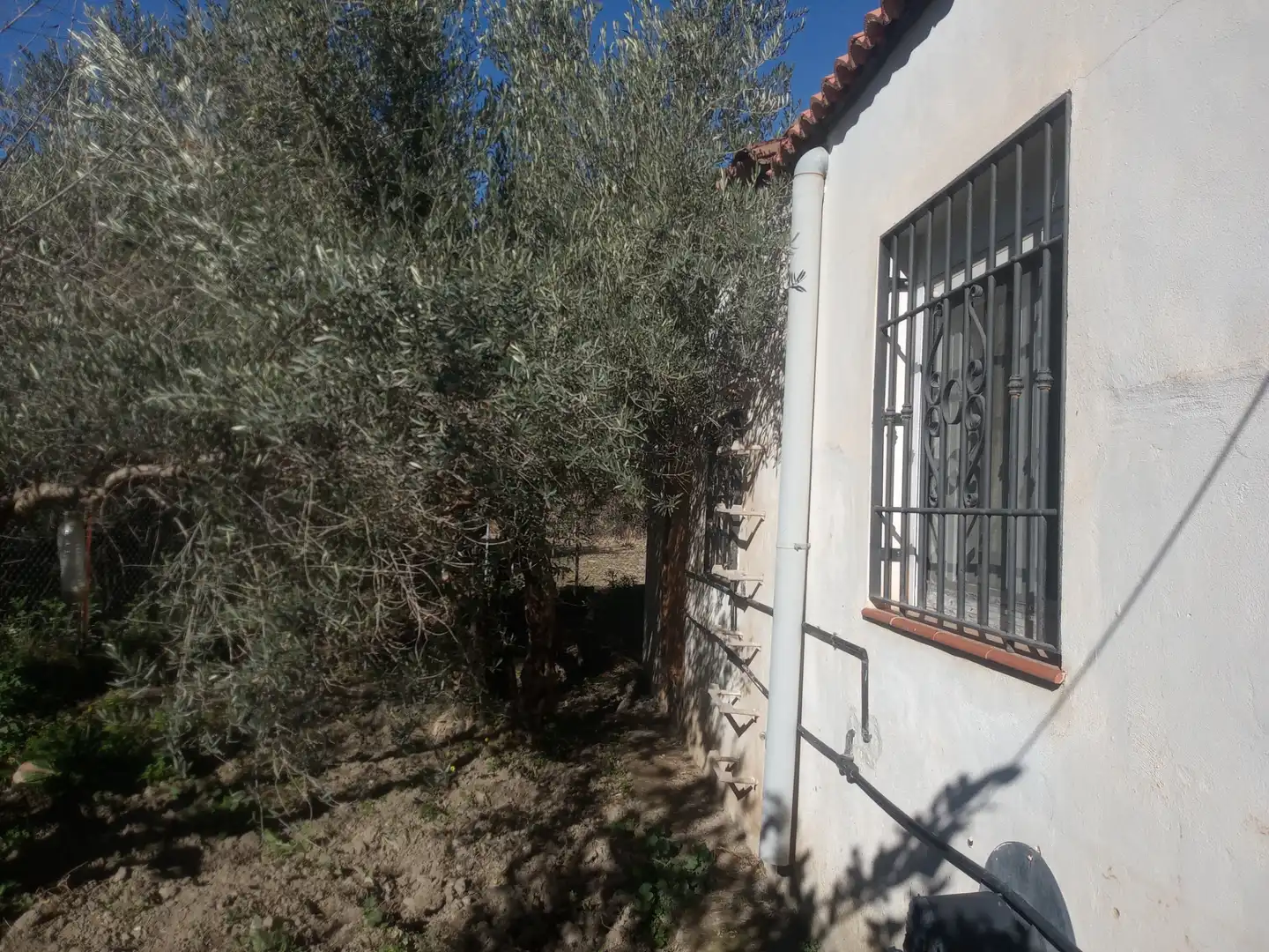 Terrain rustique à vendre à Paraje El Rincón 4, imagen 5