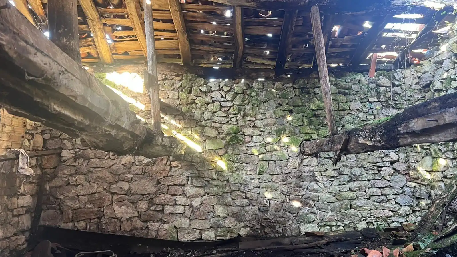 Terreno rustico in vendita a Cangas de Onís, imagen 39