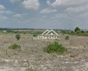 Land for sale in Chiva