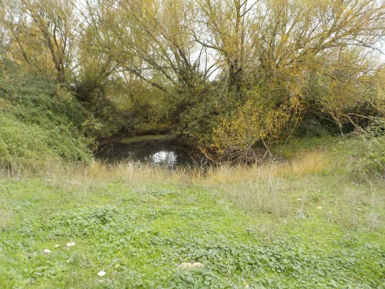 Terreno residenziale in vendita a Poligono 20, imagen 12