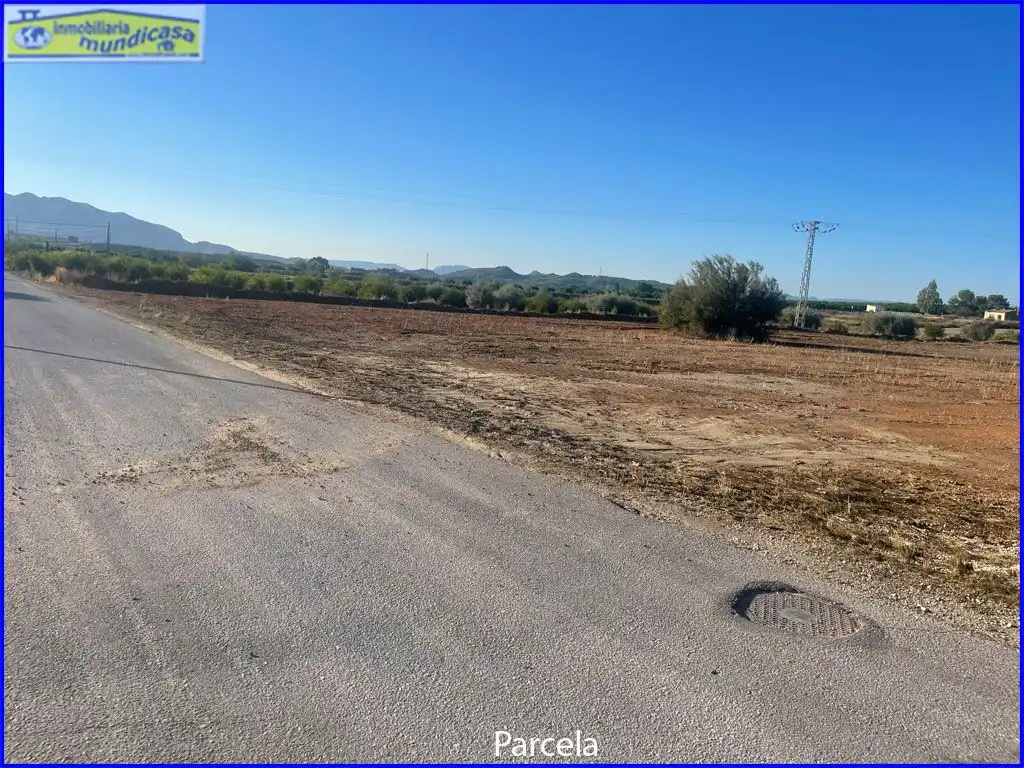 Terreno rústico en venta en Partida la Matanza, imagen 2