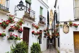 Résidentiel à vendre à Norte-Sierra, imagen 5