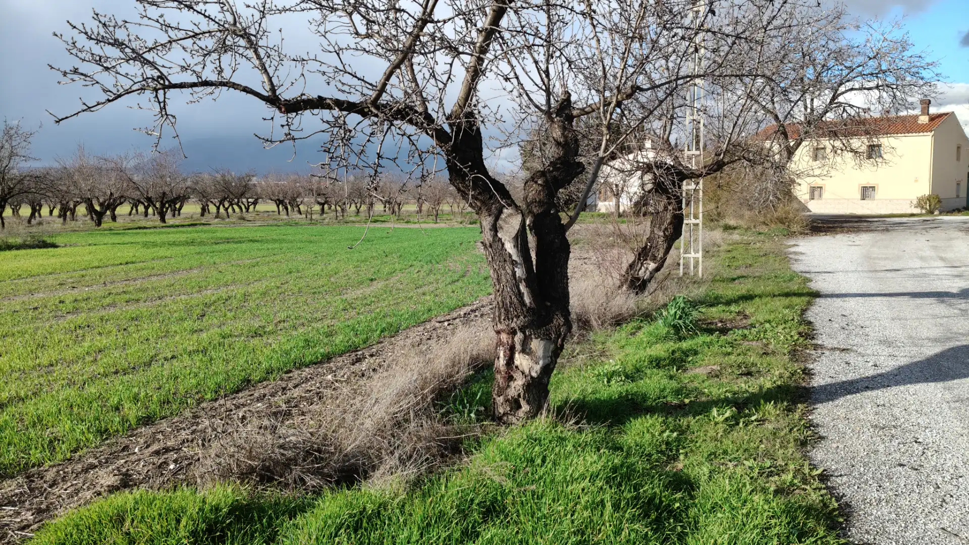 Chalet en venta en Carretera de Murcia, imagen 17