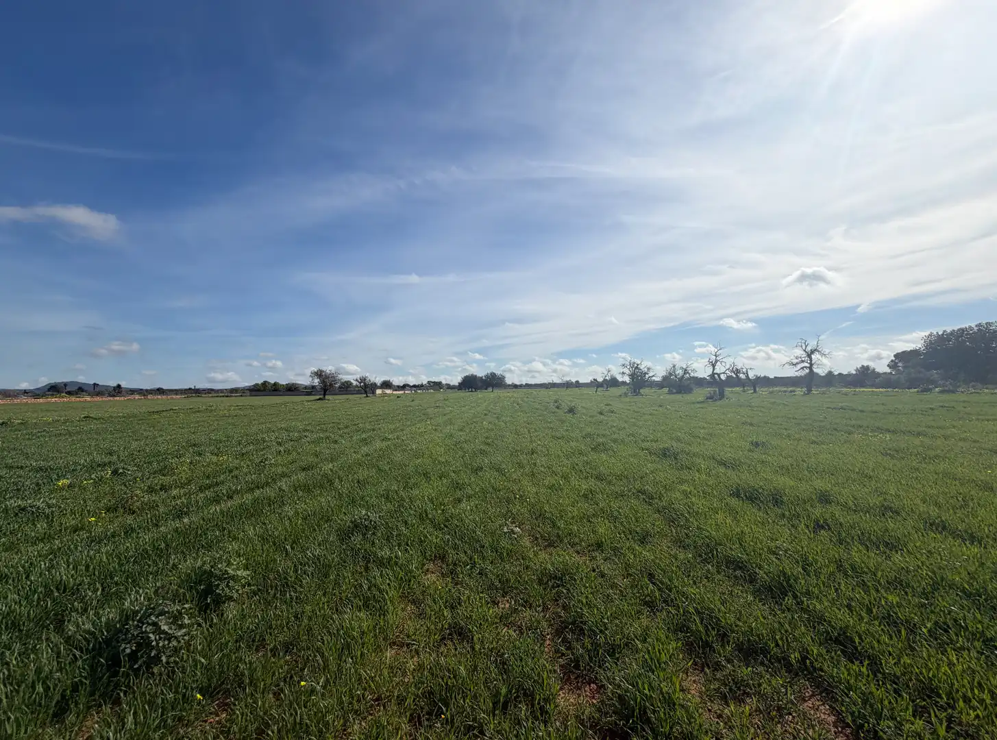 Terreno en venta en Llucmajor pueblo