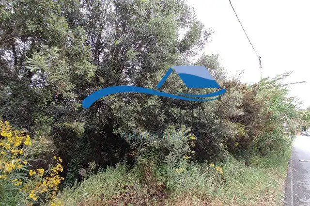 Lands and plots for sale in Flors, imagen 6