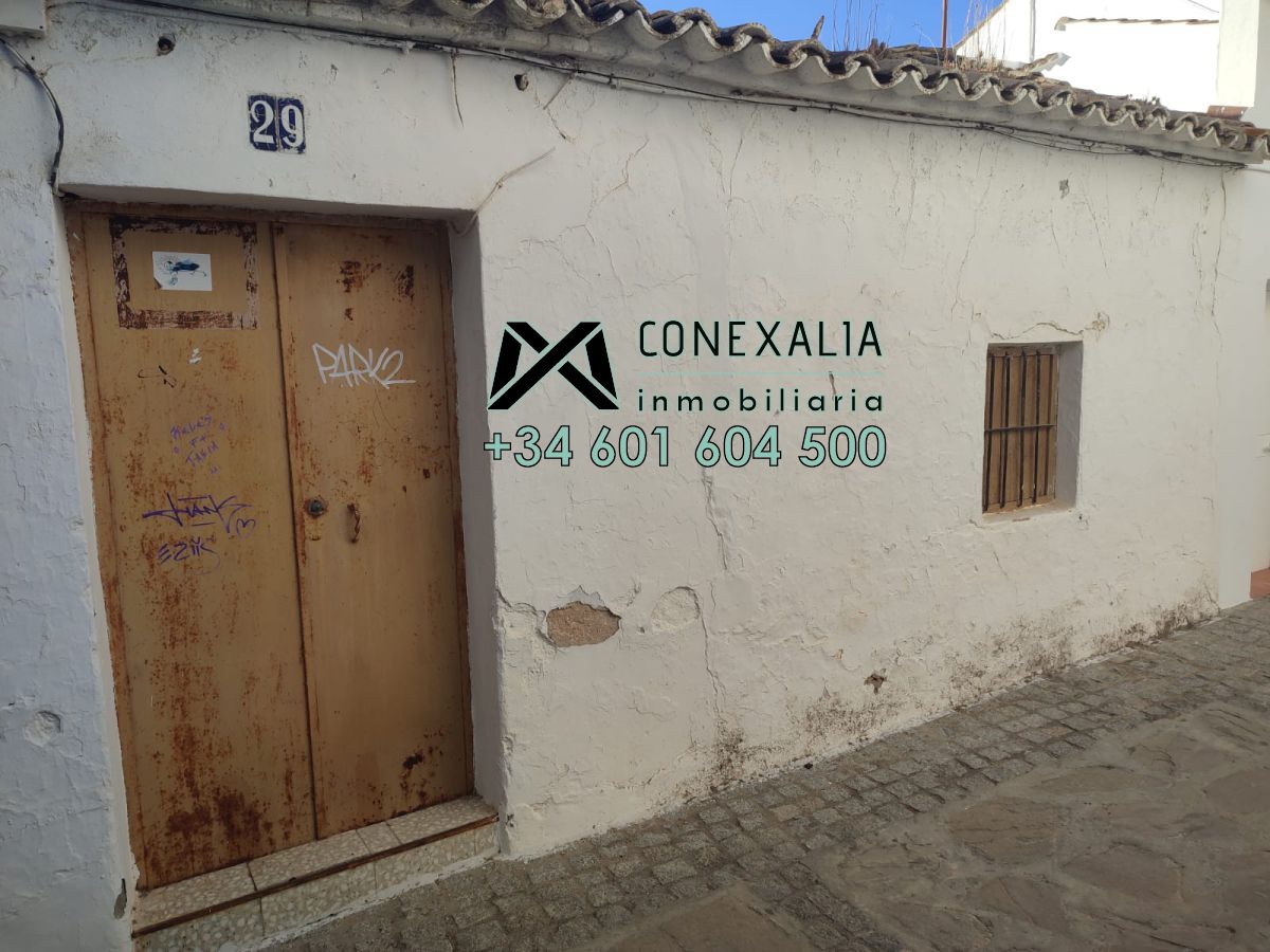 Exterior view of House or chalet for sale in Setenil de las Bodegas
