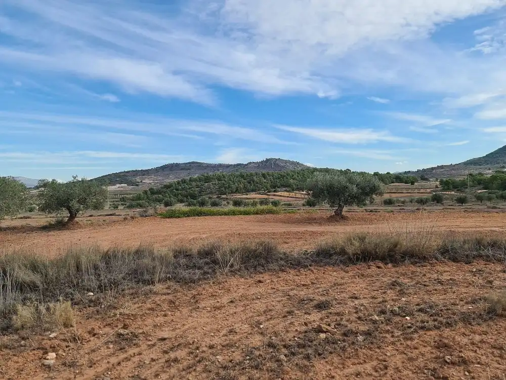 Terreno residencial en venta en El Pinós / Pinoso, imagen 5