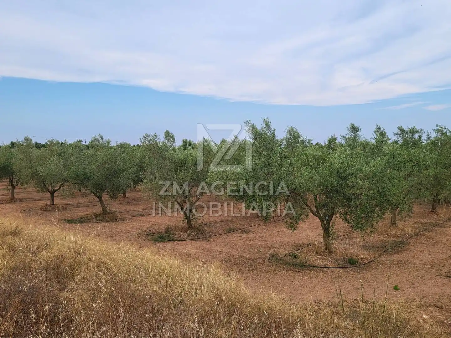 Terreno rústico en venta en Pueblo, imagen 12