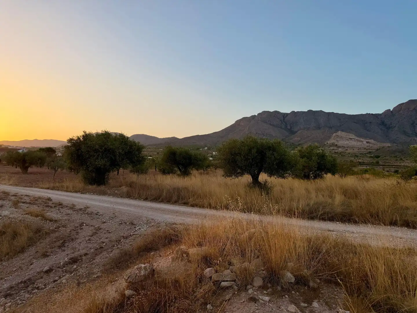 Lands and plots for sale in Abanilla, imagen 5
