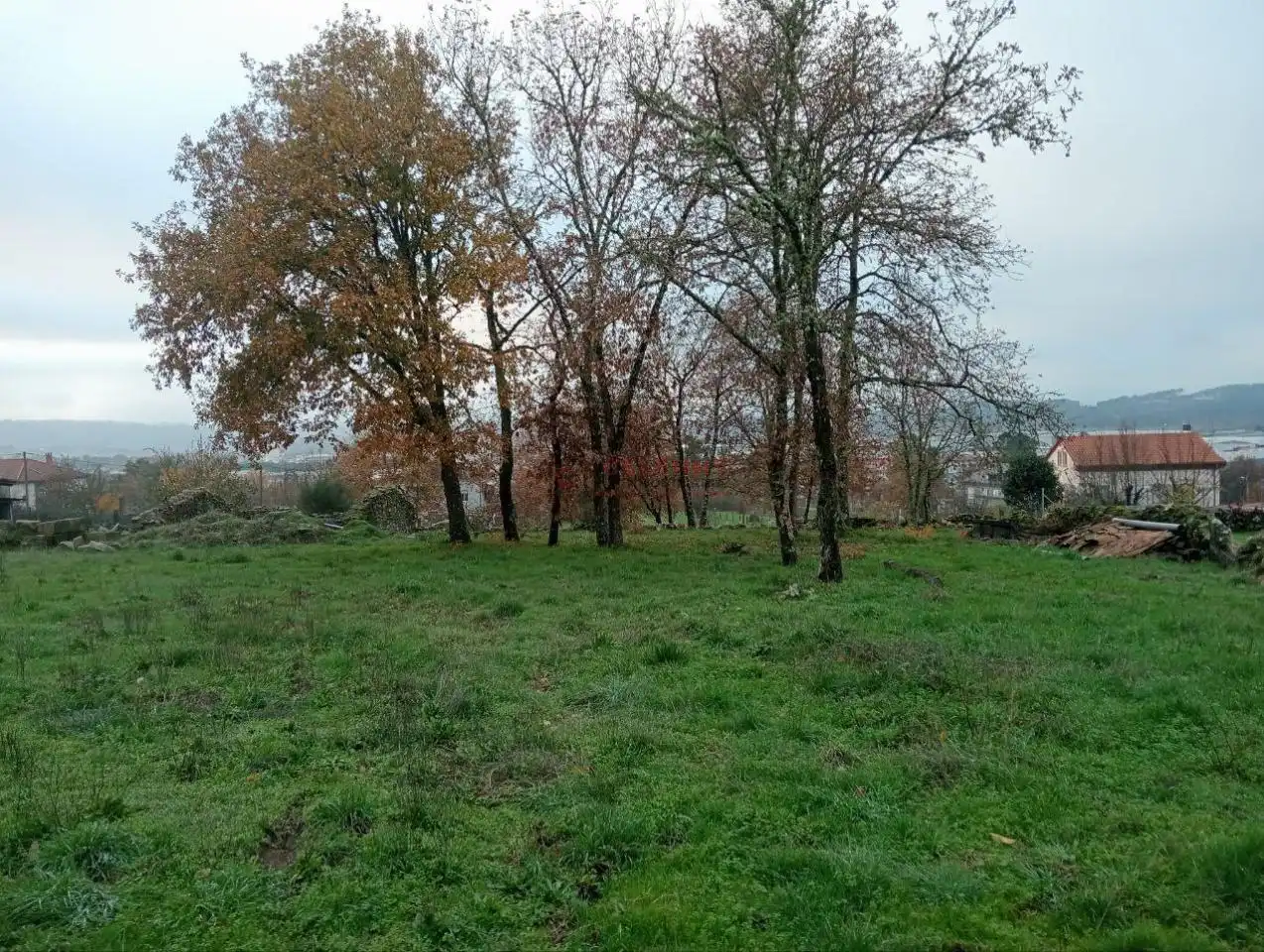 Terreny residencial en venda a San Cibrao das Viñas, imagen 22